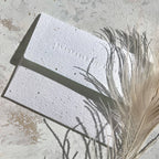 Butterflies - Love + Friendship Card