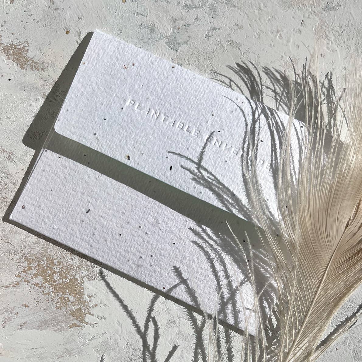 Butterfly Garden - Baby Card