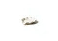 Signature White Ruffle Spoon Rest