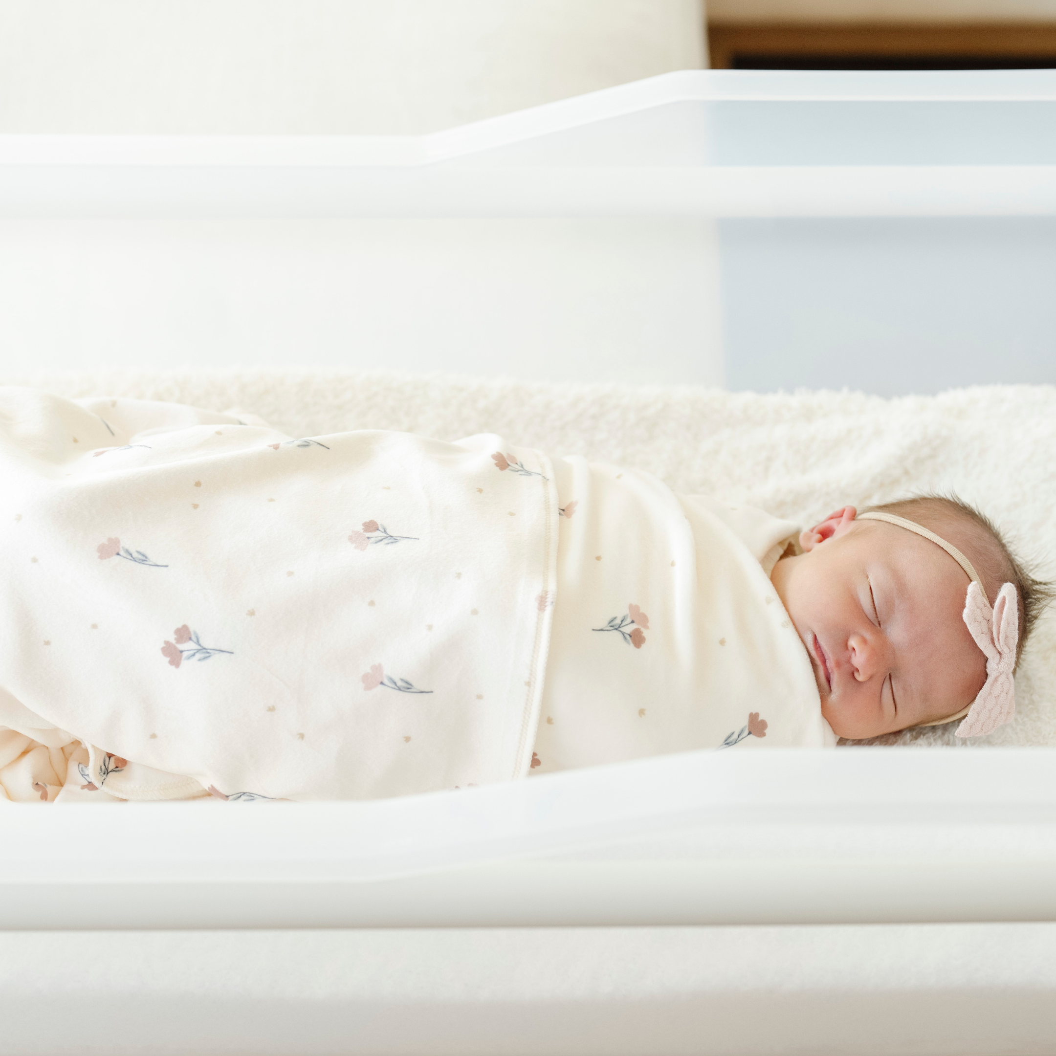 Minky Stretch Luxe Swaddle Blanket / Mushroom Print