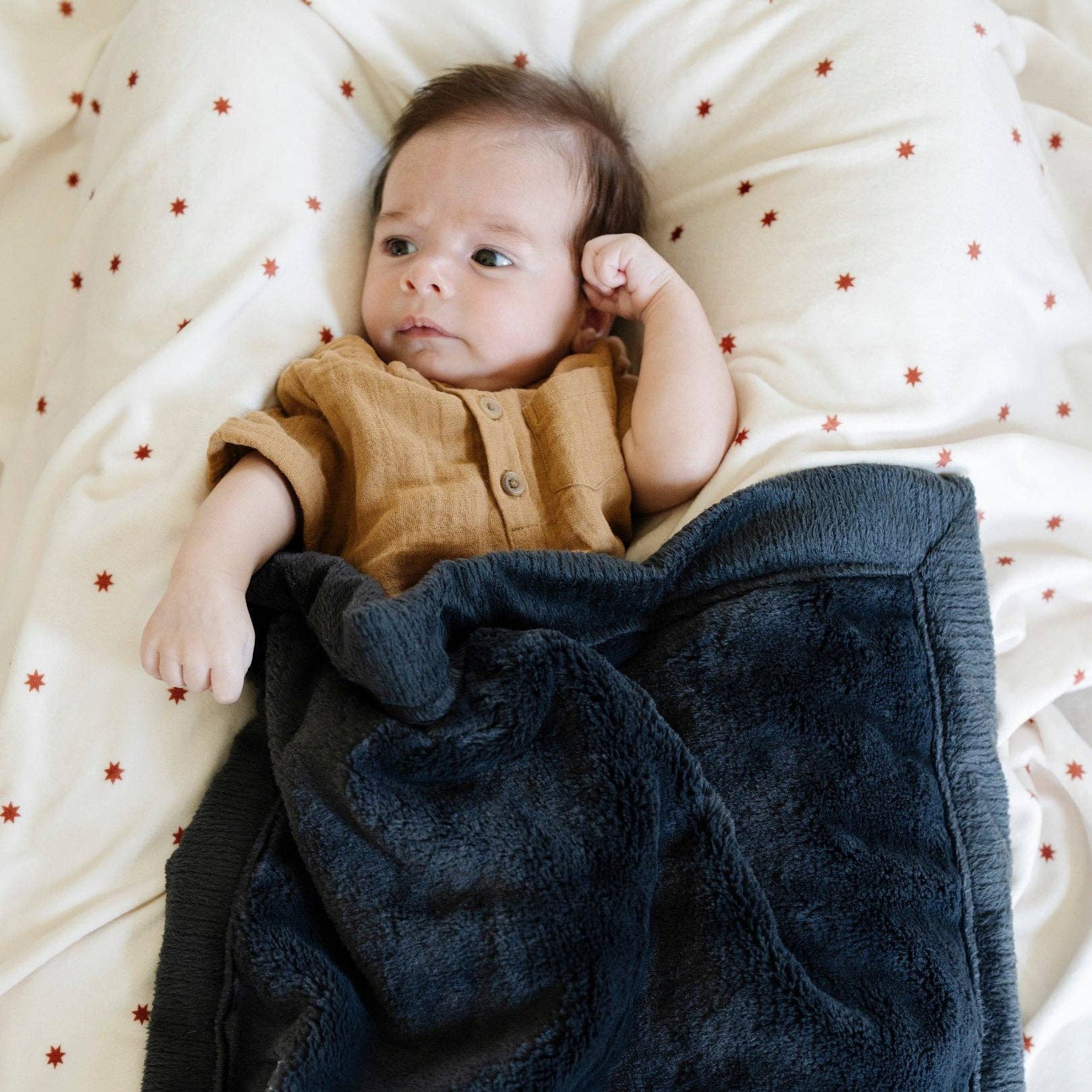 Minky Stretch Luxe Swaddle Blanket / Mushroom Print