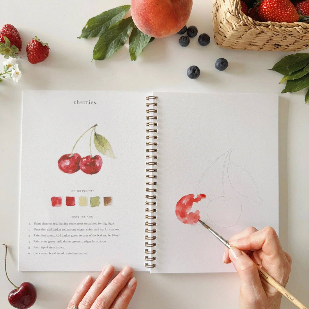 Fruit watercolor workbook