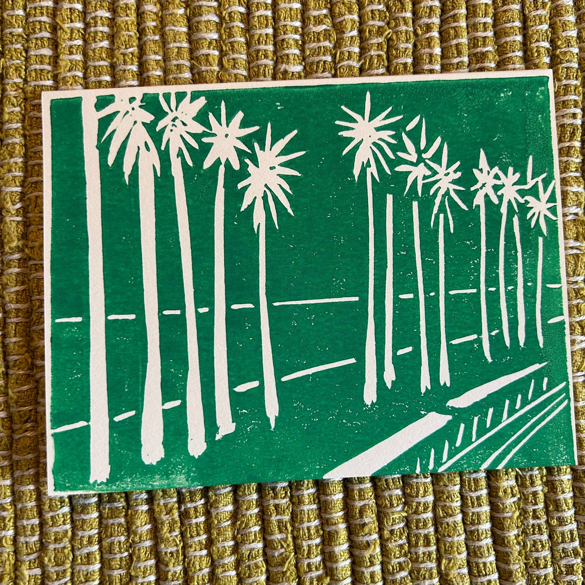 Palms