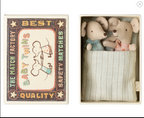 Twins - Baby mice in matchbox