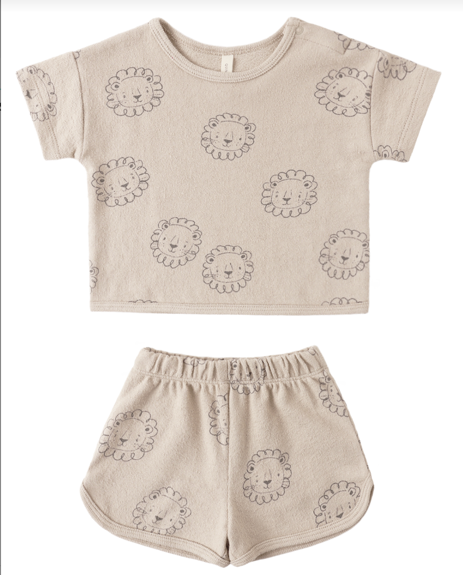 Spongy Play Set Lion