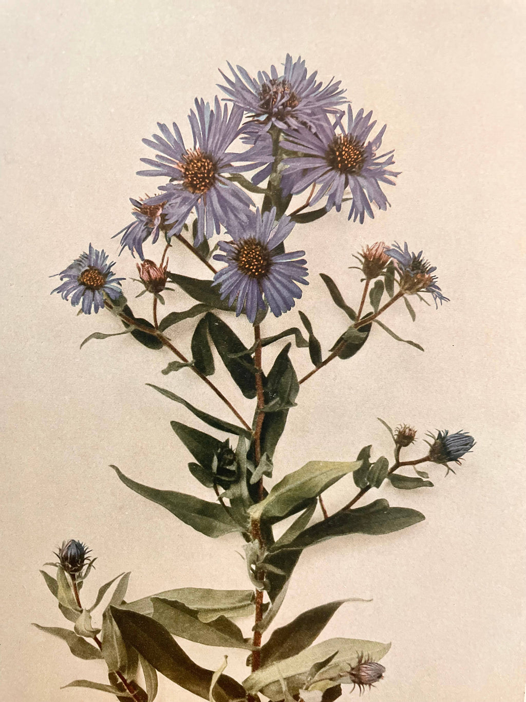 In The Weeds - Mini Candle