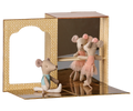 Ballet mice in dance studio, Little sister and brother