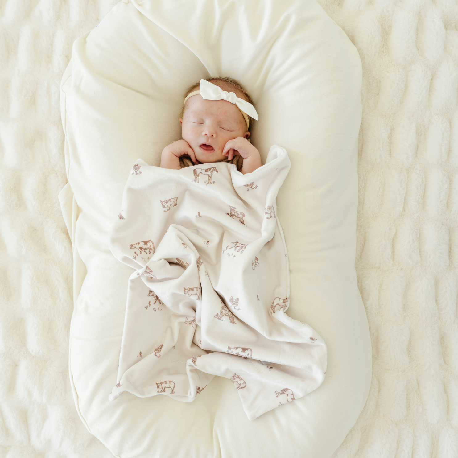 Minky Stretch Mini Blanket / Farm Animal