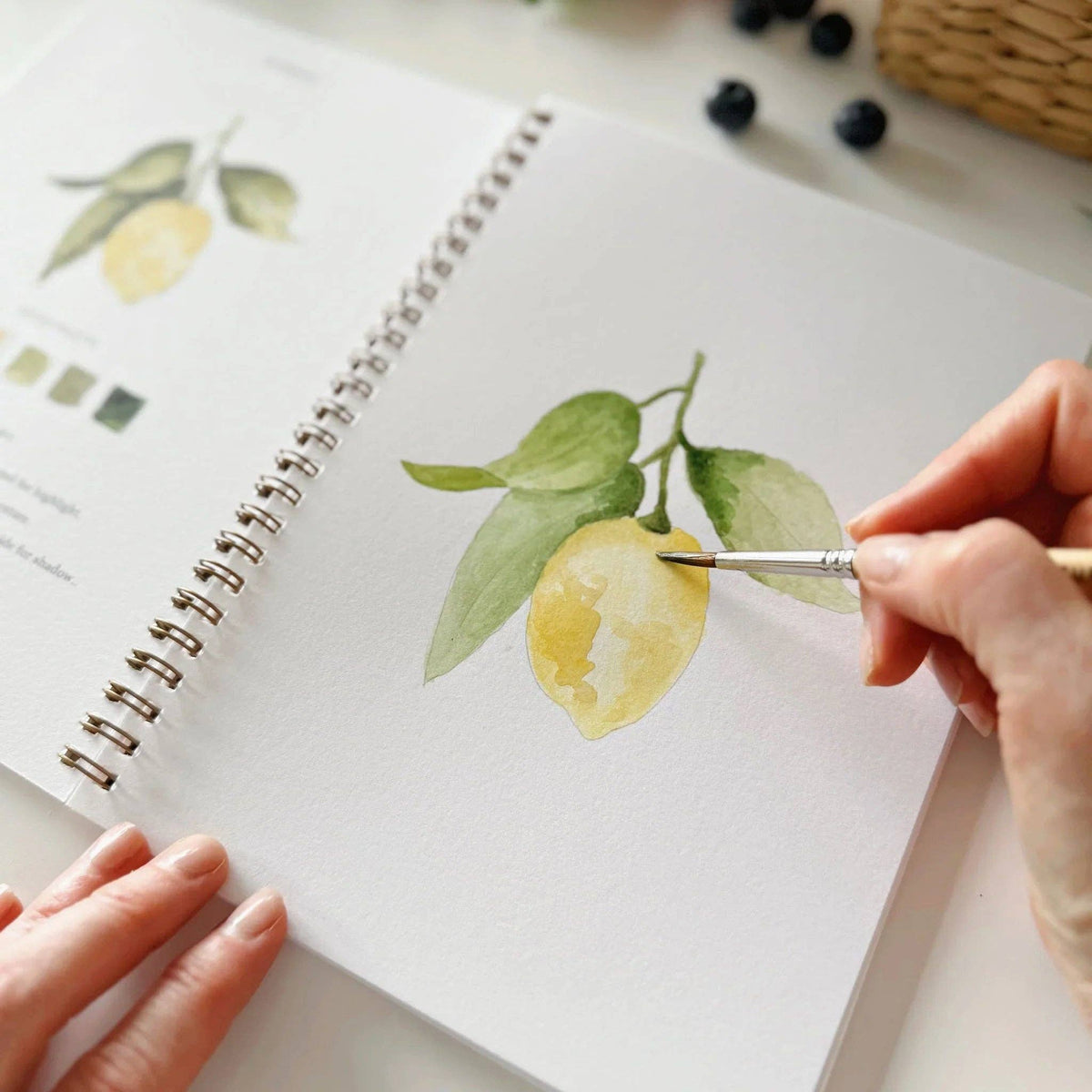 Fruit watercolor workbook